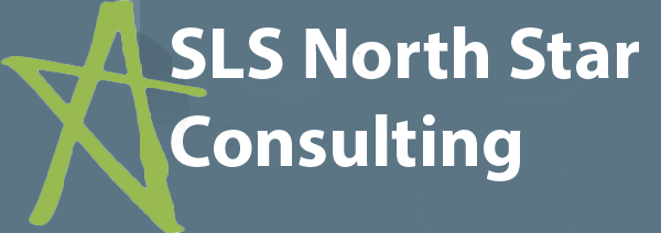 North Star Consulting